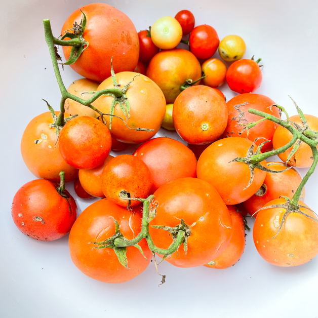 Fermented mustard green soup dua cai chua